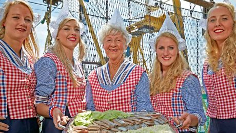 Scottish summer herring ticks