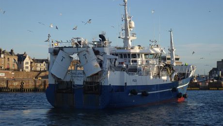 Covid-19 highlights importance of our pelagic fisheries