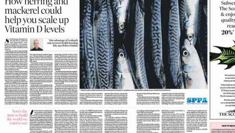 The super-food in our seas