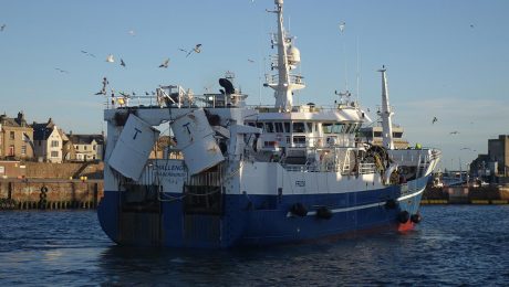 Winter mackerel fishery now underway