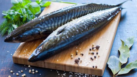 Eating oily fish in childhood can cut risk of developing asthma
