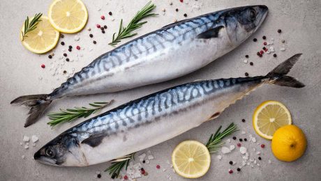 Norwegian salmon farmer opts for new underwater camera system