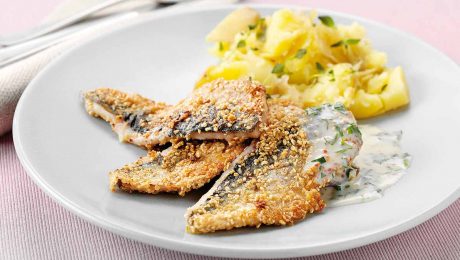 Delicious, sustainably harvested Scottish North Sea herring now in season