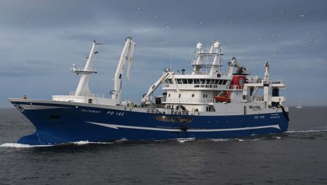 Scottish mackerel and herring - a low carbon footprint food resource