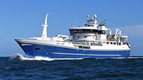 SPSG produces Fact Sheet on NE Atlantic mackerel