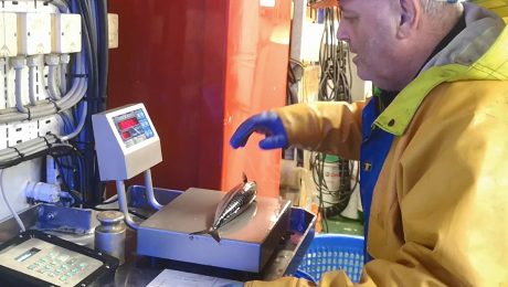 How Scottish pelagic fishers and scientists are working together for a sustainable future