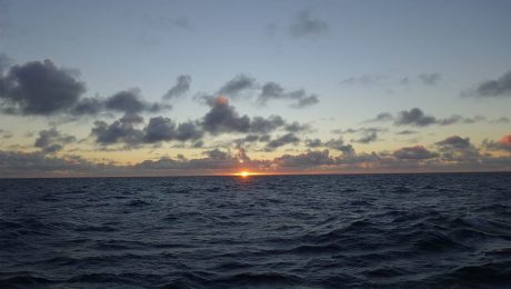 Scottish pelagic fishermen condemn unilateral quota increases by Norway and Faroe