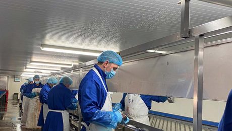 Scottish mackerel and herring processors call for urgent action on soaring energy costs