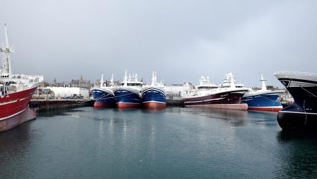 Blue whiting fishery for Scots fleet progressing well