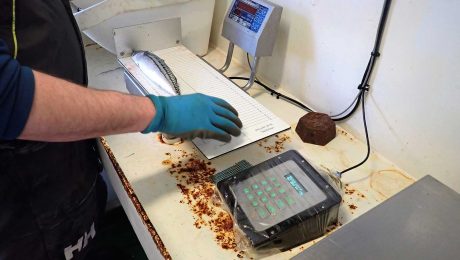 The road to incorporating Scottish pelagic industry data in science for stock assessments