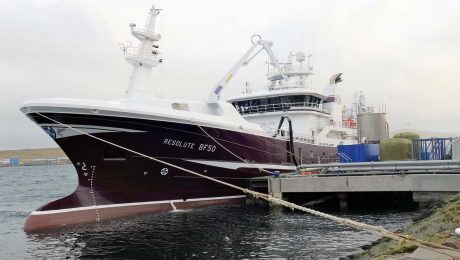 Steady herring landings as the processing sector invests in the future