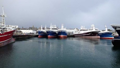 Good end-of-year mackerel fishery for Scottish fleet
