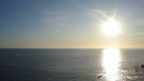 SPSG sustainability work highlighted in MSC film