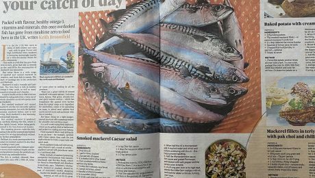 Make mackerel your catch of the day