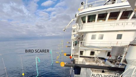 Mackerel tagging strengthens stock assessment and could help us understand how they use areas like the North Sea