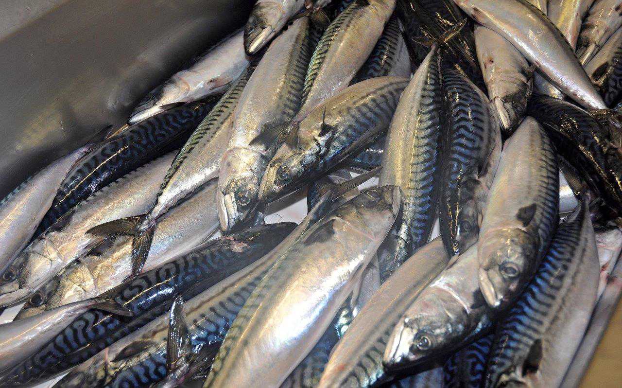 Sourcing statement from International Fish Canners Ltd:Nor Sea Foods Ltd