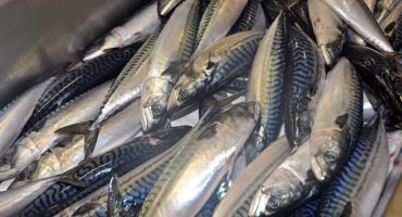 New sharing deal for mackerel but Scottish fishermen call for comprehensive agreement