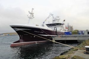 Good marks of mackerel encountered by Scottish fleet during January fishery