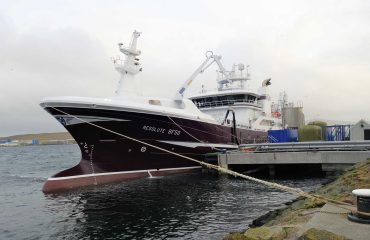 Good marks of mackerel encountered by Scottish fleet during January fishery