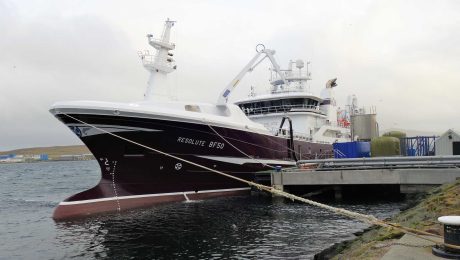 Good marks of mackerel encountered by Scottish fleet during January fishery