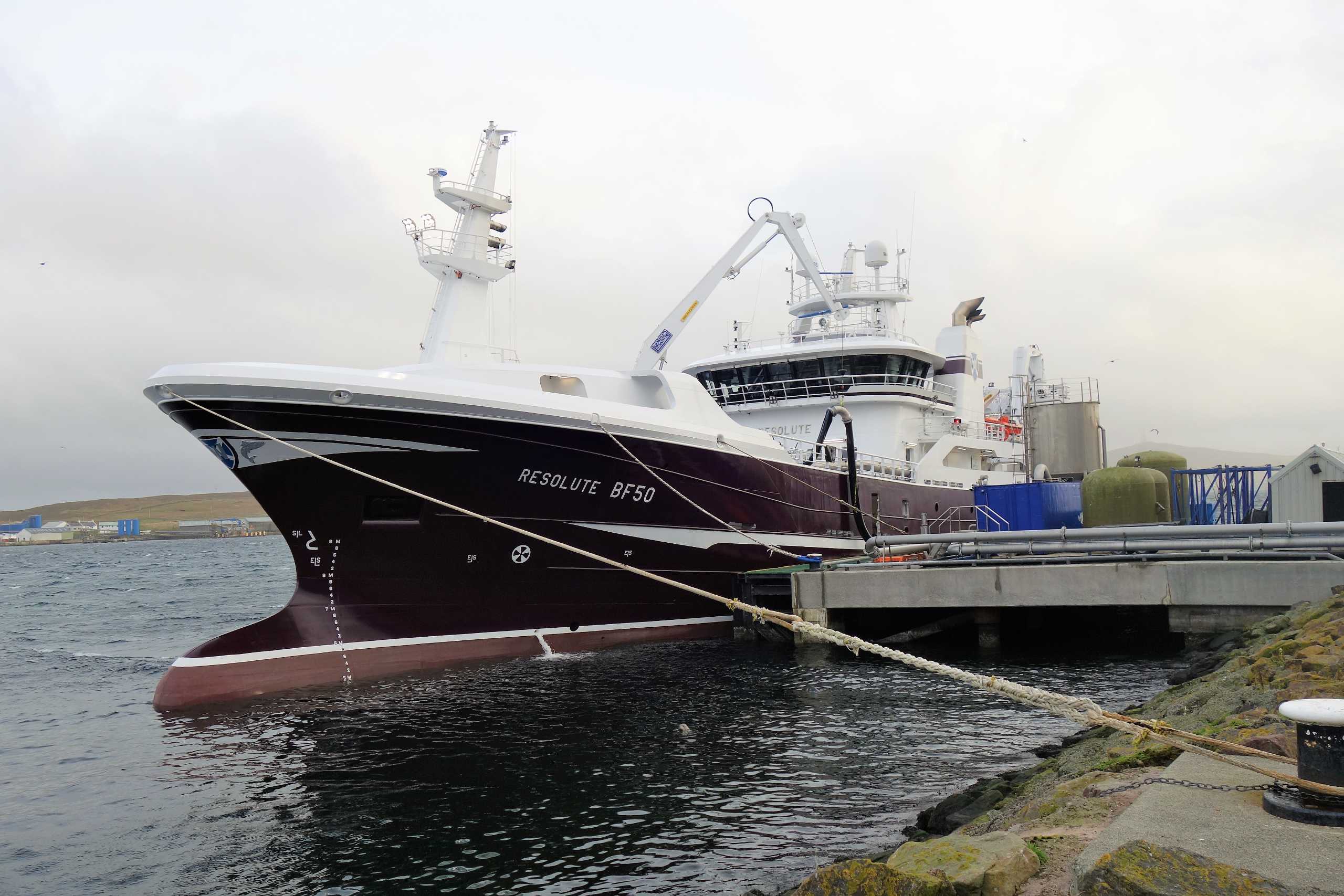 Good marks of mackerel encountered by Scottish fleet during January fishery