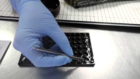 MoU agreed for Scottish pelagic data collection programme