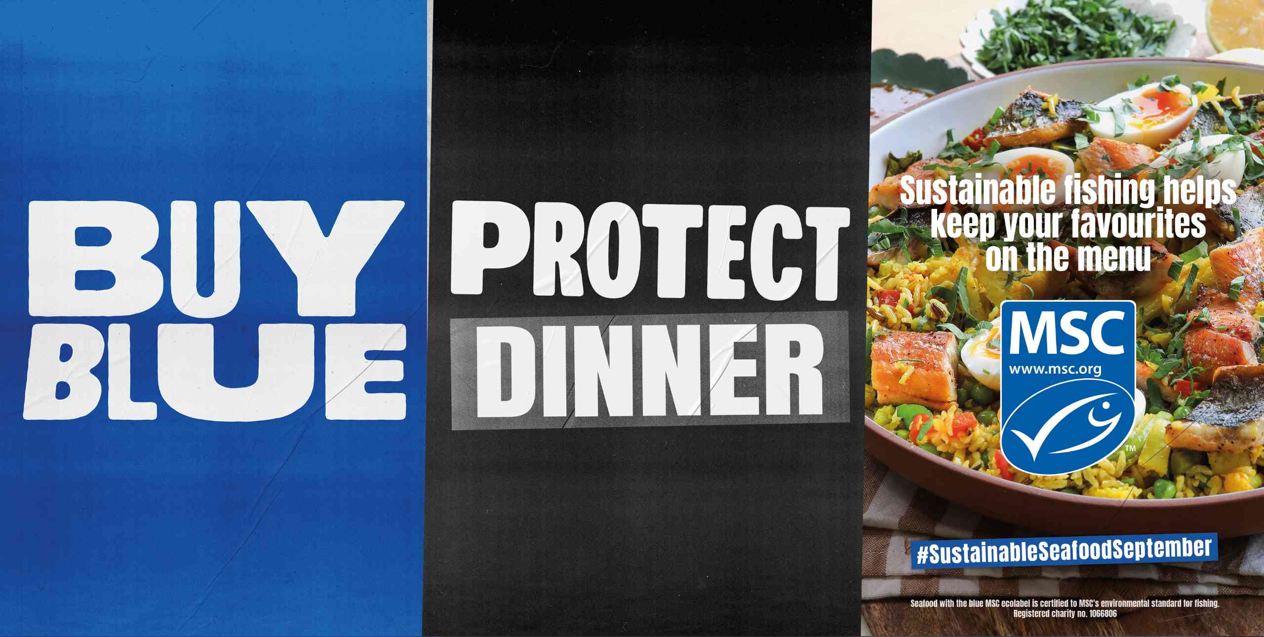 Herring celebrated as Sustainable Seafood September 2026 campaign launches 3